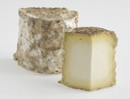 Cheeses of the world - Persillé de Tignes